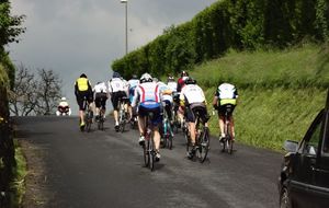 Sortie route - Rythme sportif